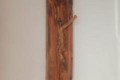 IMG-20240225-WA0004